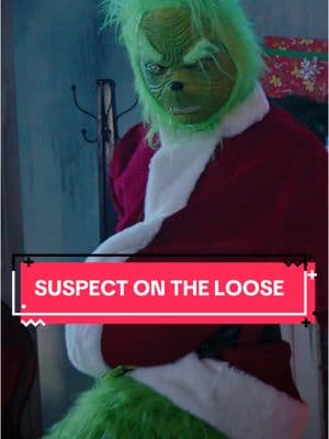 We’ve identified the suspect in the ransacking of Whoville, and it appears he is, indeed, a mean one. #fyp #bass #basssinger #christmas #christmasmusic #christmas #grinch #mrgrinch #holidaymusic 