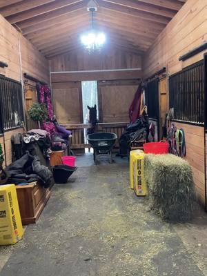 Donut party thank you Diane Codero aka greeneyedgirl #thankyou #amazonwishlist #recovery #gettingbetter #fyp #horse #shenaningans #rehab 