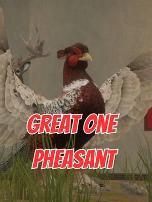 Twitch/YouTube:BigWonder  in #thehuntercallofthewild #callofthewild #cotw #greatone #pheasant #g1 #cotwclips ##greatonegrind ##flying #hcotw 