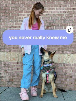 i am not and will never be that person. #kipperthedog #servicedogintraining #servicedog #gsd #germanshepherd #change #timeschange #different 