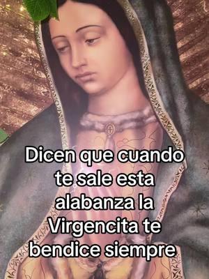 La virgencita te bendice #viral #madre #peregrinosguadalupanos #fyp #peregrinos #virgendeguadalupe #virgenmaria #fe #Jesus 