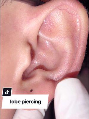 lobe piercing #lobepiercing #earpiercing #piercing #piercings #piercingvideo #piercingvideos #piercingstudio #piercingsoftiktok #piercingtok #piercingcheck #vairal #fyp #allfake⚠️ 