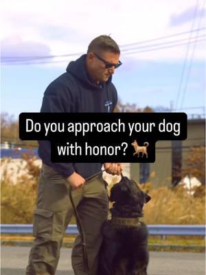 Do you approach your dog with honor? We are sure you love them, but do you see them as the truly amazing species they are? ❤️ An overwhelming majority of dog owners, never lack love for their dogs. So much so that they treat them like people. This place is a tremendous amount of stress and responsibility on many dogs. 🐕 Your dog has a lemon size brain. Only 10% of it is prefrontal cortex, as opposed to our 1/3 prefrontal cortex. This is where all the higher emotions reside. They simply do not have the capacity to experience jealousy, pride, resentment, or contempt. 🙏 Thankfully, dogs are far more perceptive of certain factors than we are. Their sense of smell enables them to know when we are stressed without our even realizing. Have you ever experienced your dog knowing you were sad? Good luck, trying to find a person like that. 🐕 We humans, owe the dog clear communication in their language. 🐕 We also owe them fulfillment of their instincts. 🐕 We owe them our modern human existence.  ⚠️ Though our dogs should never be treated unjustly; as mere  possessions, it’s unfair to treat them as humans. Love your dog the way your dog needs to be loved not the way you WANT. We begin restoring honor to the great species we call “Dog” by becoming the benevolent leader.  #leashtraining #offleashtraining #DogTraining #puppytraining #germanshepherd #doglovers #dogtrainer #obediancetraining #dogtrainingadvice #dogtrainingtips #gsdlife #gsdlove #DogTraining #dogloversclub #dogbehavior #dogmomlife #dogdad #doglife #bergencounty #bergencountynj 