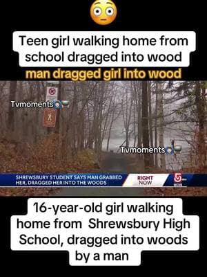 Teenager girl dragged into woods by a man #Massachusetts #shrewsbury #shrewsburyma #kidnapping #abduction #woods #crimejunkie #truecrime #fyp #fypシ #viral #viralvideo #tvmoments🙆🏻‍♂️📺  