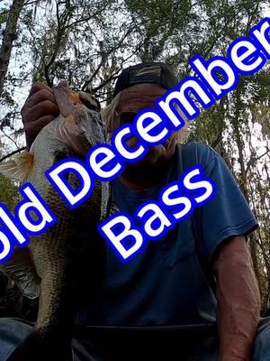 Cold December Bass. kayak Fishing a Florida creek for largemouth bass on a cold December day. #pondhoppingwithmerlin#fishingadventures#angler#contentcreator#nature#creekfishin#fishinglife#largemouthbassfishin#fishingtiktoks#fishingtime#fishingtip#fishingaddict#catchandrelease#fishingdaily#bassfishing#bass#fyp#fishingtips😎🔥✌️🎣🎣🎣#handingfishingFishing a Florida creek for largemouth bass on a cold December day.