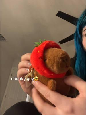 I cant resist the capybara plushies 😔also ignore my blue stained nails💔#fyp #fypシ #capybara #capybaratiktok #capybaraplush #plush #TikTokShop 