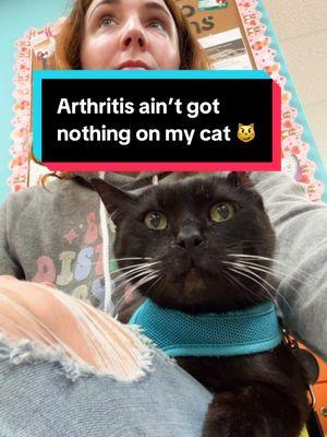 Arthritis ain’t got nothing on my cat 😼 w/ @Kat Curtis  #cats #blackcats #seniorcat #arthritis #catarthritis #solensia #friendlycats #funnycats #cutecats #adventurecat #oneeareduno