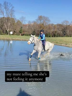 my girl forever 🩵 #fyp #hearthorse #retirement #brokenlegrecovery #equestrian #mares 