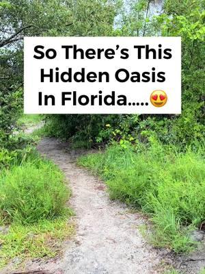 Home to some of the clearest water in Florida!! This is Cato’s Bridge in Jupiter! Would you go snorkeling here? #floridatravel #hiddengems #clearwater #catosbridge #jupiterfl #junobeach #floridatrip #floridavacation #hiddengem #usatravel #thepalmbeaches #palmbeach #floridian  