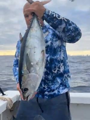 Pesca increible de Tunas #LIVEHighlights #LIVEIncentiveProgram #PaidPartnership  #pesca #tuna #pescaycaza #pescaycazausa #cazaypesca #blackfin #tunafishing 