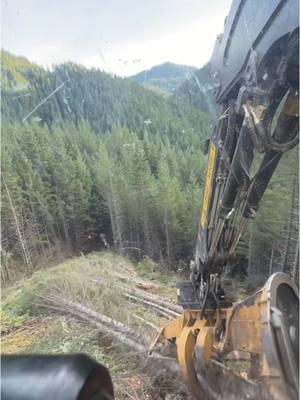 Opening up another yarder unit #tigercat #thunderbird #yarder #logging #buncher #logging #timbermax #heavyequipment #pnw #satisfyingvideo #asmr #fyp 