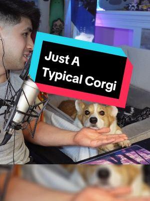 headrest is more important than trick #smallstreamer #twitchtok #corgination #corgipuppy #corgi #corgisoftiktok #corgilife #streamersoftiktok 