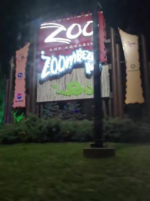 #zoolights #wildlights #columbuszoo 