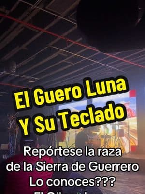 Conoces al Guero Luna Y Su Teclado del mero estado de Guerrero #guerrero #elguerolunaysuteclado #mixteco #teclados 