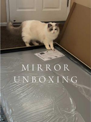 My dream living room mirror 😍 ft. @Puka 🐚🐱🤍 #viralmirror #creatorsearchinsights #archmirror #mirrorunboxing #livingroominspo #mirror #oversizedmirror #largemirror #archedmirror 