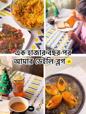 এক হাজার বছর পর আমার Daily Vlog✨🌼  #dailyvlog #foryoupageシ #lifestyleblog #bangladeshivlogger #viralvideochallenge #vloggerlifestyle #lifeofshimu 