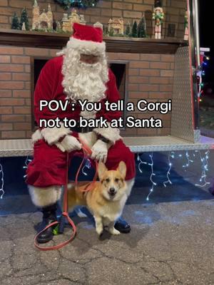 🎅Bark you Santa , I do what I want. Where’s my gift? #corgi #barkingdog #dogsoftiktok #barked 