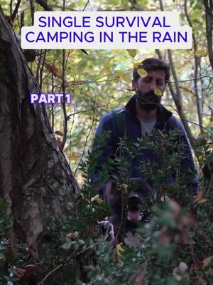 SINGLE SURVIVAL CAMPING IN THE RAIN #wildernessshelter #Outdoors #outdoorsurvival #shelter #camping #wilderness #build #WildernessSurvival #survival #bushcraft #wildlife #survivalcamping #outdoorsurvivalgear #campingtips #survivaltips #campinghacks