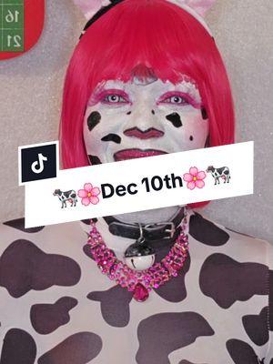 Dec 10th Day 10 from MoE's 25dayz of Christmas Challenge 2024 🐄🌸Christmas Cow🌸🐄 ##transition #makeuptransition #outsidetransition #faceart #facejewels #glittermakeup #creativemakeup #faceartmakeup #25daysofchristmaschallenge #25daysofchristmas #25daysofchristmasmakeup #25daysofchristmasoutfits #25days #countdowntochristmas #christmascountdown #December2024 #December #dec10th #day10 #cow ##cowmakeup #cowcosplay #cowoutfit #cowdress #cowprintdress #cowcostume #blackandwhite #whiteandblack #fitcheck #outfitofthenight #Christmas #Christmas2024 #merrychristmas #caperobbinshoes #pinkhair #pinkmakeup #pinkglitter #Fuchsia #fuchsiapink 