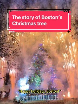 😭🎄 Well, we weren’t expecting to cry today … Boston’s Christmas tree ain’t no ordinary Christmas tree. In fact, it’s living proof that Bostonians are kind to their core.  #boston #christmastree #novascotia #cityofboston #discoverboston #thingstodoinboston #bostonthingstodo #happyholidays