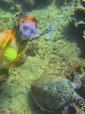 Freediver spends quality time with a turtle friend on the ocean floor🐢🌊 👙 @SKIMS  📸 @GoPro  #underwatertiktok #mermaidlife #sirencore #turtles #oceanlife #animalsoftiktok 