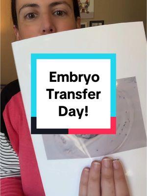 *delayed post* 11/12/2024. Embryo transfer is complete! One little embaby on board! #ivf #ivfjourney #ivfwarrior #fet #ttcbaby2 #ttcbaby2 #ttc #ttcjourney #ttccommunity #embryotransfer 