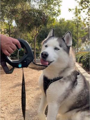 Whether you're heading out for a quick stroll around the block or embarking on an epic adventure with your furry friend, keeping them hydrated is crucial! Our pet water bottle makes it incredibly simple, just attach it to your leash and you're ready to go.  #DogHydration #PetWaterBottle #DogLeashBottle #PetAccessories #DogWalking #HikingWithDogs #PetTravel #DogGear #OutdoorDog #PetInnovation#DogAdventures #PawfectGift #DogHiking #PetProducts #LeashAttachment#DogWalks #PetHydration #ActiveDogs #DogLife #SummerDog#DogCare #PetSafety #DogEssentials #PetWellness #AdventureDog #DogTravel 