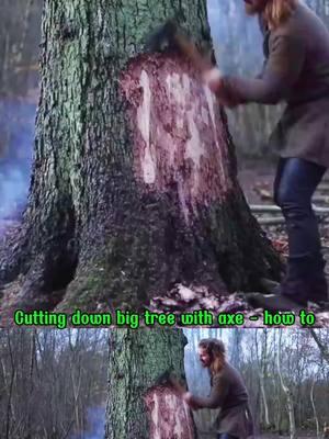 Cutting down big tree with axe - how to #sawwood #woodworking #chainsaw #usa 