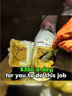 I’m satisfied with that amount 🤑 #drain #plumbing #clean #draincleaning #foyou #fyp #omg #amazing 