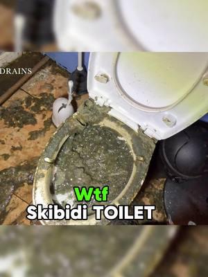 Bad Toilet in New York 🤢🤮 #drain #plumbing #clean #draincleaning #foyou #fyp #omg #amazing 