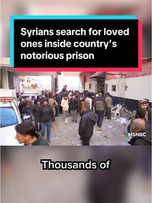 Days after the fall of the Assad regime in Syria, thousands of people are searching for relatives who may have been imprisoned, tortured or killed. NBC News' Richard Engel got a look inside one of Syria's most notorious prisons as loved ones looked for those they hadn't seen in years. #syria #assad #worldnews #news