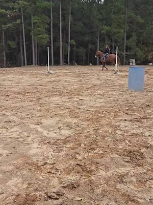 ItsALectric AKA Stormy and Bay learning Trail for Rodeos saving for a future then and Now ❤️✨️#rodeotok #workingforourgoalsnotyours #louisianacowgirl #blessedlife #improveyourself #apha #collectingallthepaintsthatanit 