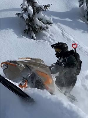 Sometimes, the most fun happen beside the trail on those deep days 🤘🏼📸 @munsterCanada #snowmobile #sled #viral #fyp #relatable #sledtok #trending #snowmobilevideos #munster #munstercanada 