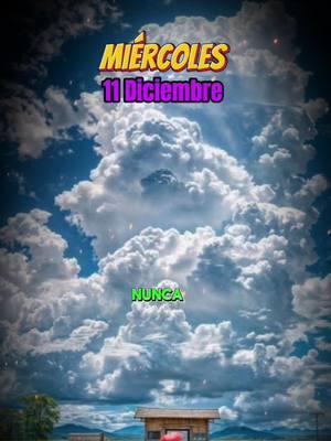 Buenos días feliz Miércoles 11 de diciembre Bendiciones para tod@s #felizmiercoles🥰❤️😘✨☕️ #felizmiercolesparatodos #11dediciembre 