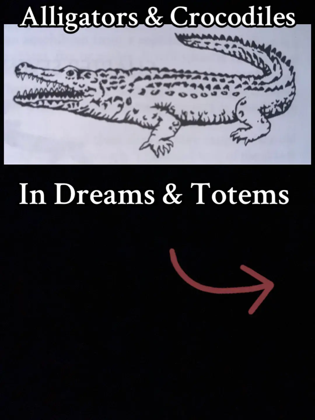 Symbolic meaning of the Alligator and the Crocodile.  To find out more about these animals and more, I highly advise reading Ted Andrews book. Animal Speak. He devoted his life to understanding animal symbolism. #crocodile #alligator ##tedandrews##animalspeak##wizard##symbolism##animalguides##totems##animaltotem