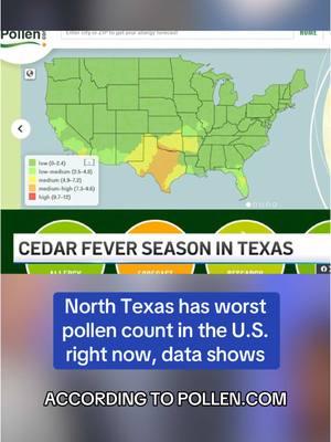 DEC. 11, 2024 — CEDAR FEVER SEASON 🌲🤧 ‘Cedar fever’ season is back, as ash junipers in Texas release their spores. Runny noses, itchy eyes and sore throats are a sign of ‘cedar fever,’ allergy medicines help but if symptoms worsen you’ll want to see a doctor. Data from Pollen.com shows that DFW is in an area with the highest pollen count right now.  #allergies #cedarfever #health #dfw #northtexas #dfw #nbcdfw #news 