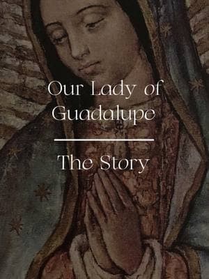 Our Lady’s words to  St. Juan Diego and to us!  “Listen, put it into your heart, my youngest and dearest son, that the thing that frightens you, the thing that afflicts you, is nothing: do not let it disturb you…Am I not here, I who am your Mother? Are you not under my shadow and protection? Am I not the source of your joy? Are you not in the hollow of my mantle, in the crossing of my arms? Do you need something more? Let nothing else worry you or disturb you.” Our Lady of Guadalupe, thank you sheltering us under the mantle of your protection, thank you for keeping us in the embrace of your arms, help us always to know the love of your Son, Jesus. Amen. #Catholic #December12 #CatholicCatechism #Miraculous #Miracle #MotherMary #Guadalupe #Mexico #OurLadyOfGuadalupe #MiraculousTuma #JuanDiego #SaintJuanDiego