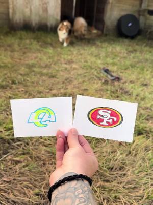 Pumpkin the capybara picks Thursday Night Football 🏈  PS - capygrams are edible! #capybara #capybaras #football #nfl #thursdaynightfootball #nflfootball #capybarasofinstagram #losangelesrams #larams #rams #ramshouse #sanfrancisco #sanfrancisco49ers #49ers #niners 