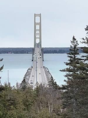 Perfect timing to catch a freighter passing under the Mackinac Bridge. #mackinacbridge #stignace #freighter #boatnerd #upperpeninsula 