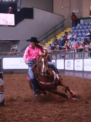 Zs a bad ass, im just here @Paris Mayhew🎥  #barrelracer #barrelhorse #horsetrainer #canchaser #rodeo #rodeohorse #cowtown #stockyards #cowgirl #sorrel #marepower 