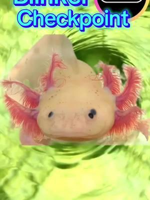 AXOLOTL  Requested by: @Bobby 🩷🎀  #blinker 