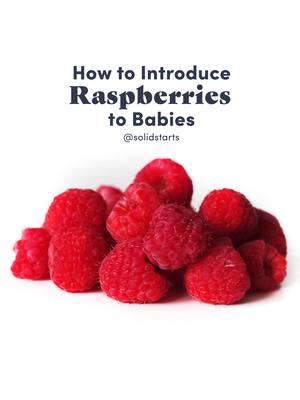 Raspberries may be introduced as soon as baby is ready for solids. Not sure if baby is ready? Tap the link in our bio.  Nutritionally, raspberries are packed with vitamin C, so try pairing them with plant-based sources of iron to increase iron absorption.They are also rich in zinc, folate, and omega-3 fatty acids for baby’s development and fiber for healthy digestion. Small, firm raspberries can be a choking hazard. To reduce the risk, choose large, soft berries, and mash or flatten firmer or smaller berries.. For suggestions on how to introduce raspberries, download the Solid Starts App. #SolidStarts  #babyfoodrecipes #whatmybabyeats #blw #babyledweaning #babyledweaningideas