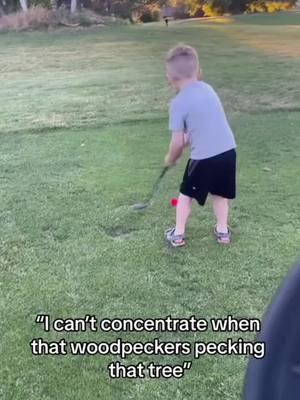 Those damn woodpeckers 😂😂 (🎥: tyhayes12 via IG) #golftiktok #golf #golftok #golfer #golflife #golfswing #golfaddict #funnygolf #funny #golfmeme #funnygolfvideos #fyp #foryou #viral #hookergolfco #hookergolf #golfing #golfislife #viralvideo #viraltiktok 