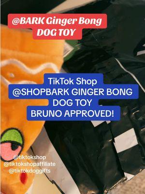 @Shop BARK Ginger Bong Dog Toy. On sale now $12.50 size M/L! Bruno loves new toys and this met his approval for sure! Great Holiday gift for your fur baby 🐶 #shopbark #TikTokShop#dogtoyreview#doggifts#barkbox#fyppppppppppppppppppppppp#dogsoftiktokviral#petlovers_pets#animalsreact#tiktokaffilate#christmasgifts#