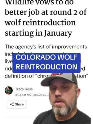 Colorado Wolf Reintroduction #wolf #coloradowolves #colorado #ranchers #wolves #cattle #ranching#jamesbigleyranches #wyoming #Idaho #canada_life🇨🇦 