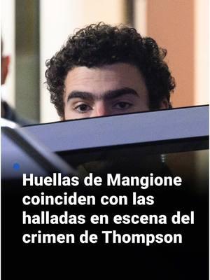 📌 Las huellas dactilares del acusado coinciden con las halladas en una botella de agua y un envoltorio de barritas de proteínas que estaban cerca de la escena del asesinato de Brian Thompson, CEO de UnitedHealthCare, según las pruebas de laboratorio. El hallazgo constituye la primera coincidencia forense que vincula a Luigi Mangione con la escena del asesinato ocurrido la semana pasada en la ciudad de Nueva York. Las autoridades indicaron que el “arma fantasma” que hallaron junto a Mangione coincide con los casquillos encontrados en la escena del crimen. Ingresa al link de nuestra biografía para conocer lo último de las investigaciones del caso. #BrianThompson #CEO #UnitedHealthcare #uninoticias #univisionnoticias #luigimangione