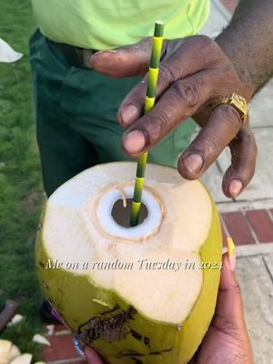 Montego Bay will see me again #fyp #foryoupage #coconut #freshcoconut #freshcoconutwater #montegobay #jamaica #jamaicatiktok #montegobay #montegobayjamaica 