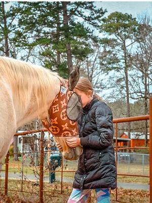 #sassythepalomino #queenpalomino #palominoqueen #palomino #horse #horses #horsesoftiktok #horsesontiktok #horsetok #horsetoker #equine #fyp #foryoupage 