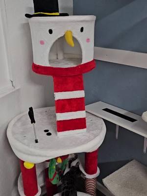 The Only thing You need under your Christmas tree for your cat's #cats #catsoftiktok  #cattok #catscratcher  #scratchingpost  #catscratchingpost  #catscratching #cattips  #catfurniture #cattower  #tiktokshopfinds #mademyyear  #tiktokshopholidayhaul 