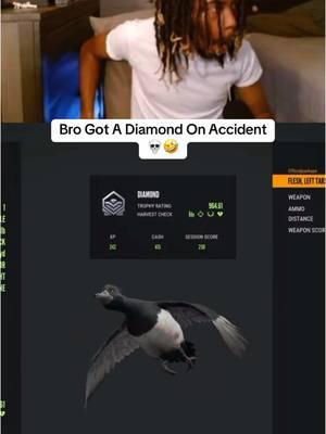 was shooting randomly & got my 2nd ever diamond 🤣🤣🤣 #thehuntercallofthewild #fyp #gaming #callofthewild #thehunter #fypシ゚viral #foryoupage #GamingOnTikTok #duckhunting 